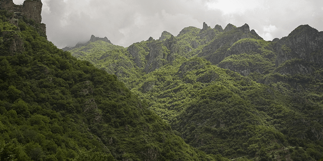 Կորած արավուսցիները սպասել են մառախուղի ցրվելուց հետո և վերադարձել տուն